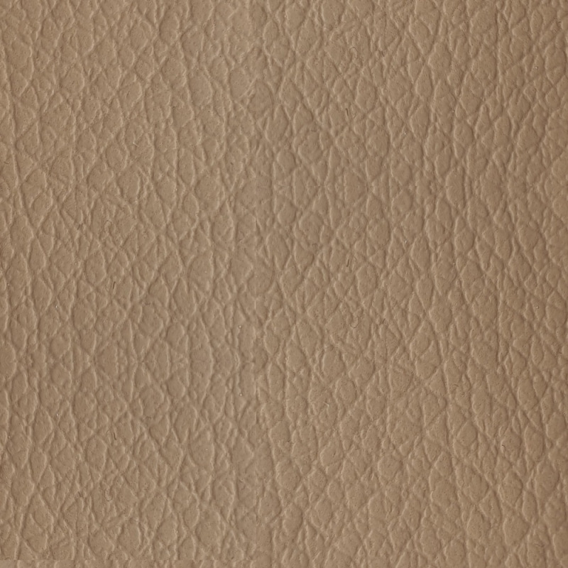 Bloom B029