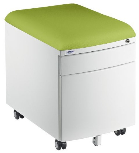 Profi 32W8 (v 52 x š 39 x hl 55 cm), kov biely + čalúnenie Zelený AquaClean