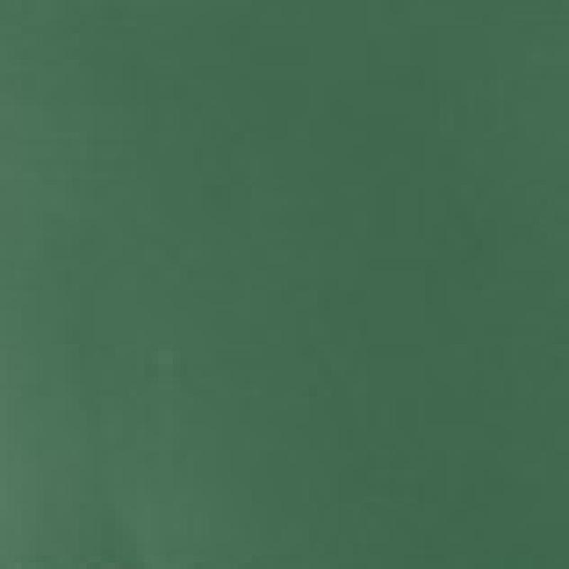 Zelená šalvia (PANT SALVIA)