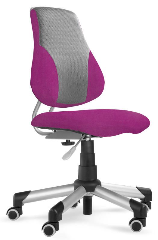 MAYER Detská rastúca stolička ACTIKID A2 40 ružová Mystic