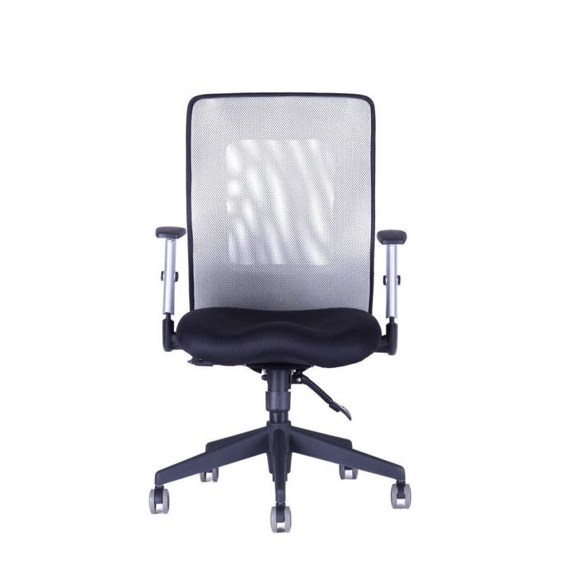OFFICE PRO Kancelárska stolička CALYPSO XL BP sivá svetlá