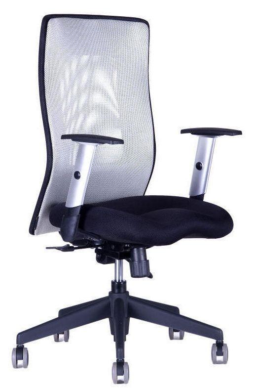 OFFICE PRO Kancelárska stolička CALYPSO GRAND BP sivá svetlá