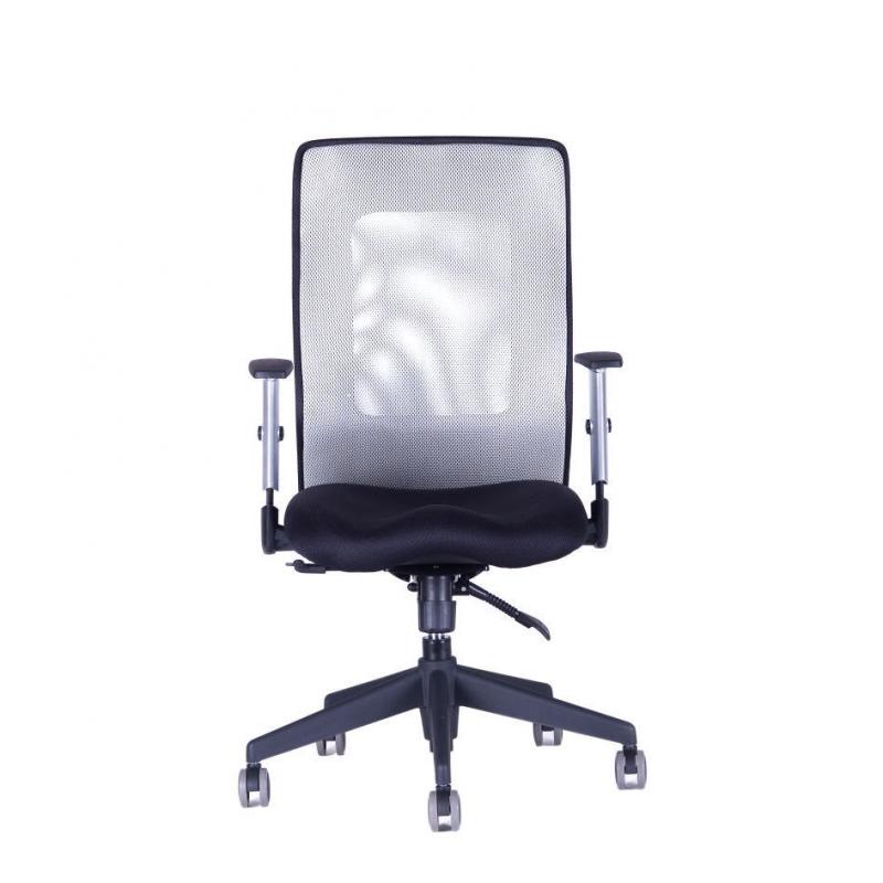 OFFICE PRO Kancelárska stolička CALYPSO GRAND BP sivá svetlá
